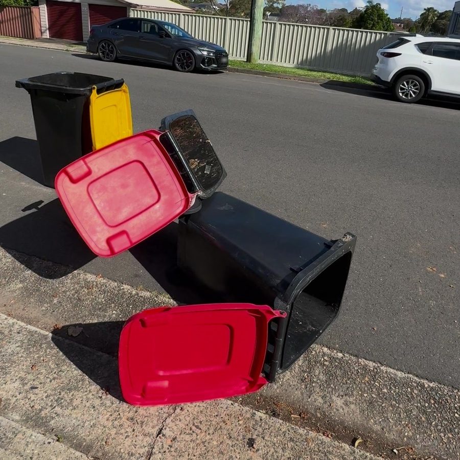 Wheelie bins left knocked over on the verge with lids open